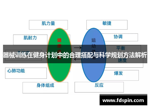 器械训练在健身计划中的合理搭配与科学规划方法解析