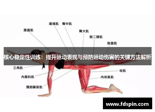 核心稳定性训练：提升运动表现与预防运动伤害的关键方法解析